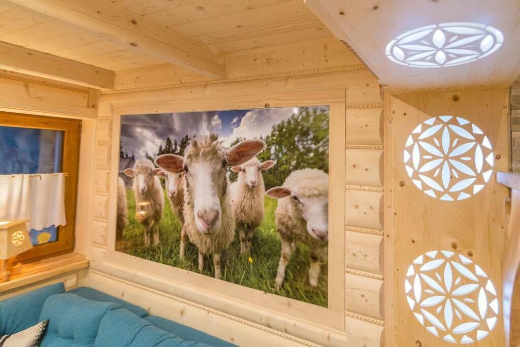 Апартаменты Goralska Kryjowka Закопане Экстерьер фото