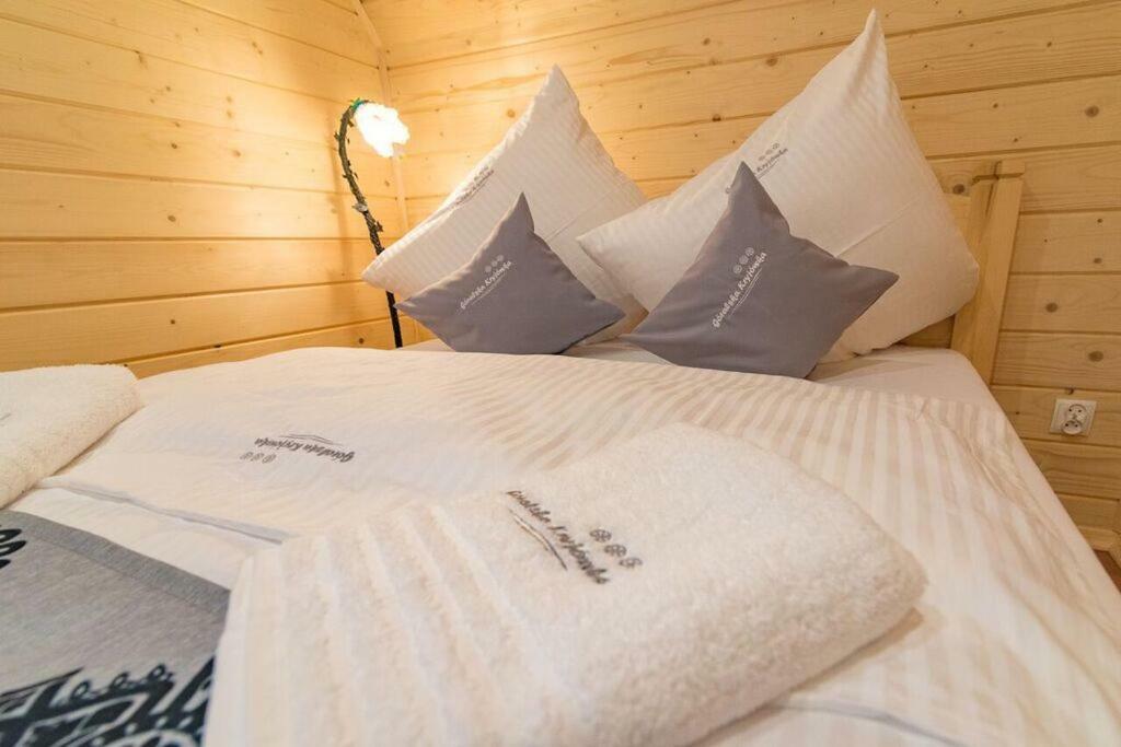 Апартаменты Goralska Kryjowka Закопане Экстерьер фото